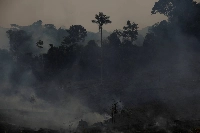 Smoke rises from the Amazon rainforest in the Apui, Amazonas state, Brazil, on Aug. 8. | REUTERS