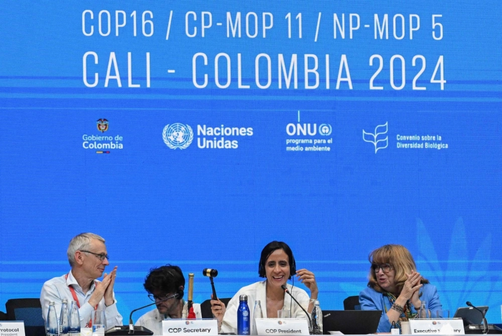 David Cooper (left), executive secretary of COP16, Colombian Environment Minister and COP16 President Susana Muhamad (center), and Astrid Schomaker, secretary of COP16, attend the closing session of the conference in Cali, Colombia, on Saturday. David Cooper (left), executive secretary of COP16, Colombian Environment Minister and COP16 President Susana Muhamad (center), and Astrid Schomaker, secretary of COP16, attend the closing session of the conference in Cali, Colombia, on Saturday.