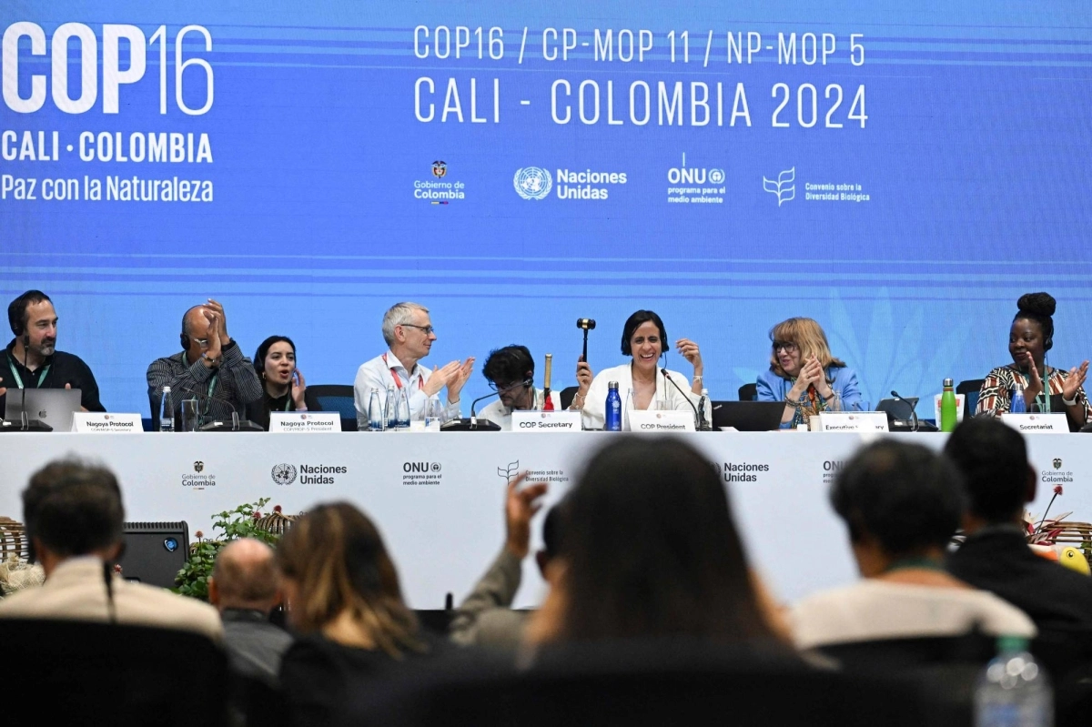 David Cooper (center left), Executive Secretary of the COP16, and Colombian Environment Minister and  Muhamad attend the last plenary session of the COP16 Summit in Cali, Colombia, on Saturday. David Cooper (center left), Executive Secretary of the COP16, and Colombian Environment Minister and  Muhamad attend the last plenary session of the COP16 Summit in Cali, Colombia, on Saturday.