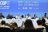 David Cooper (center left), Executive Secretary of the COP16, and Colombian Environment Minister and  Muhamad attend the last plenary session of the COP16 Summit in Cali, Colombia, on Saturday. | AFP-JIJI