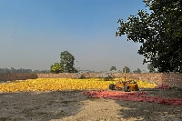 Solar panels in Kasur, Pakistan. Farmers are the latest to join the solar craze in Pakistan where power prices for some have tripled since 2021. | Bloomberg