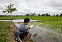 Trung Tin, a rice farmer in Can Tho, Vietnam, fishes out a plastic bag from a rice field while holding a used pesticide bottle. | Anton L. Delgado