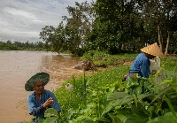A group of elephant keepers in Chiang Saen, Thailand, remove plastic waste from the Ruak River, a tributary of the Mekong River, as a pair of Asian elephants bathe behind them. | Anton L. Delgado