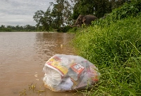 A trash bag drifts down the Ruak River, a tributary of the Mekong River, past a herd of rescued Asian elephants in Chiang Saen, near the Golden Triangle region between Thailand, Myanmar and Laos. | Anton L. Delgado