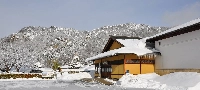 At the Basho memorial museum guests can enjoy matcha tea while exploring the museum's exhibits featuring Basho's original writings, along with materials related to <i>The Narrow Road to the Deep North</i>. | YAMAGATA