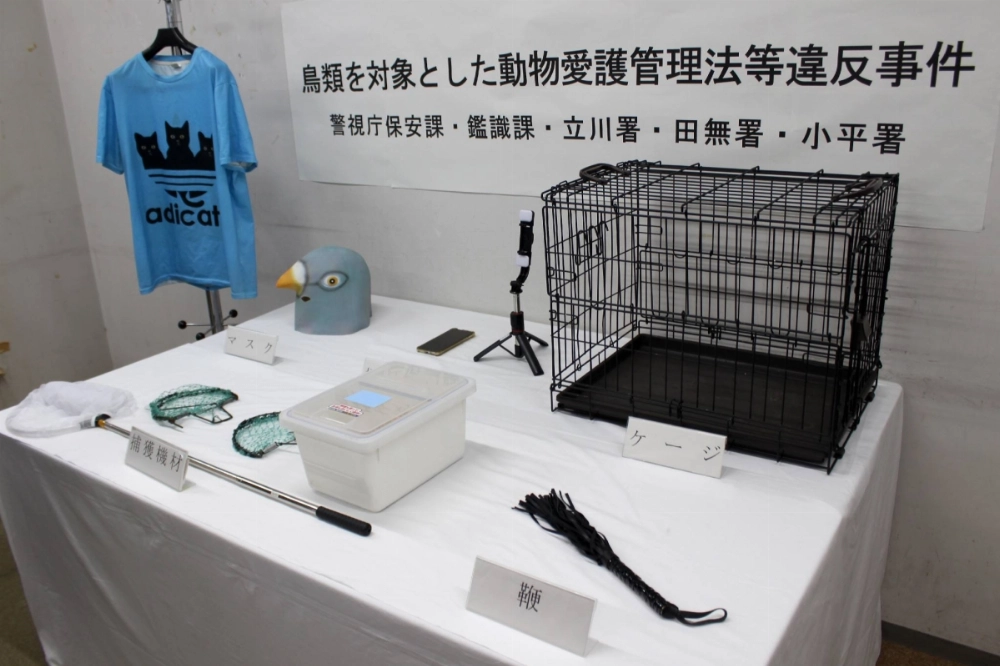 Whips, cages and other items that were seized from Hiroshi Tsuji, who has been rearrested on suspicion of violating the animal welfare law, by the Metropolitan Police Department are displayed in the city of Tachikawa, Tokyo, on Thursday. Whips, cages and other items that were seized from Hiroshi Tsuji, who has been rearrested on suspicion of violating the animal welfare law, by the Metropolitan Police Department are displayed in the city of Tachikawa, Tokyo, on Thursday.