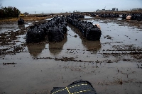 Plastic bags containing radiated soil are seen inside the exclusion zone around the Fukushima No. 1 nuclear power plant in Futaba, Fukushima Prefecture, in March 2020. | Reuters