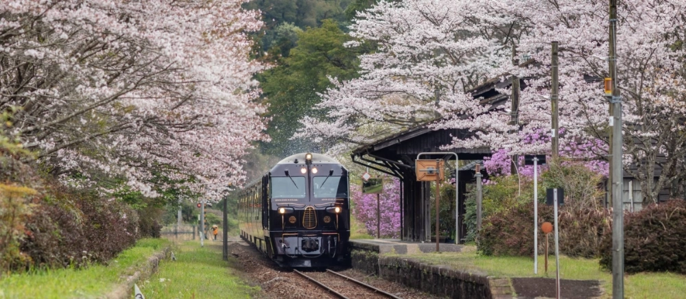 The luxury Seven Stars in Kyushu train trades the hyper-efficiency of typical rail travel in Japan for a slower, more decadent version. The luxury Seven Stars in Kyushu train trades the hyper-efficiency of typical rail travel in Japan for a slower, more decadent version.