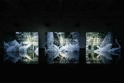 Excerpts from Natsume Soseki’s “Ten Nights of Dreams” and footage of dancer Min Tanaka and "shō" player Mayumi Miyata play across three large screens that are reflected in a mirror-like pool of water in the installation “Time Time.”  Excerpts from Natsume Soseki’s “Ten Nights of Dreams” and footage of dancer Min Tanaka and "shō" player Mayumi Miyata play across three large screens that are reflected in a mirror-like pool of water in the installation “Time Time.”