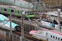 The Hayabusa (left) and Komachi bullet trains seen making an emergency stop in Tokyo's Arakawa Ward on March 6 after becoming unfastened | Jiji