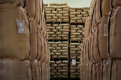Rice buyers have been racing to secure supplies since an extreme shortage last summer. Rice buyers have been racing to secure supplies since an extreme shortage last summer.