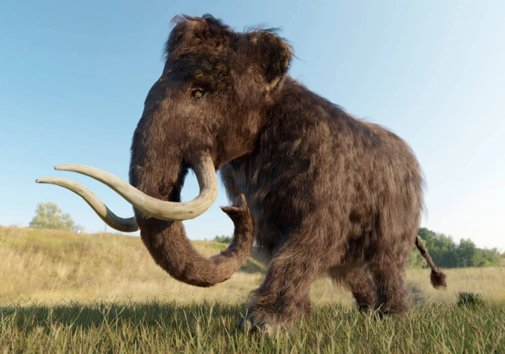 Instead of spending billions to resurrect woolly mammoths, we could focus on preserving endangered species, saving ecosystems, and securing biodiversity for the future. Instead of spending billions to resurrect woolly mammoths, we could focus on preserving endangered species, saving ecosystems, and securing biodiversity for the future.