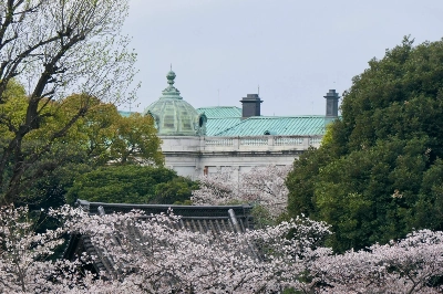 The Tokyo National Museum’s garden is open to the public in springtime, when 10 different varieties of cherry trees are blooming. The Tokyo National Museum’s garden is open to the public in springtime, when 10 different varieties of cherry trees are blooming.
