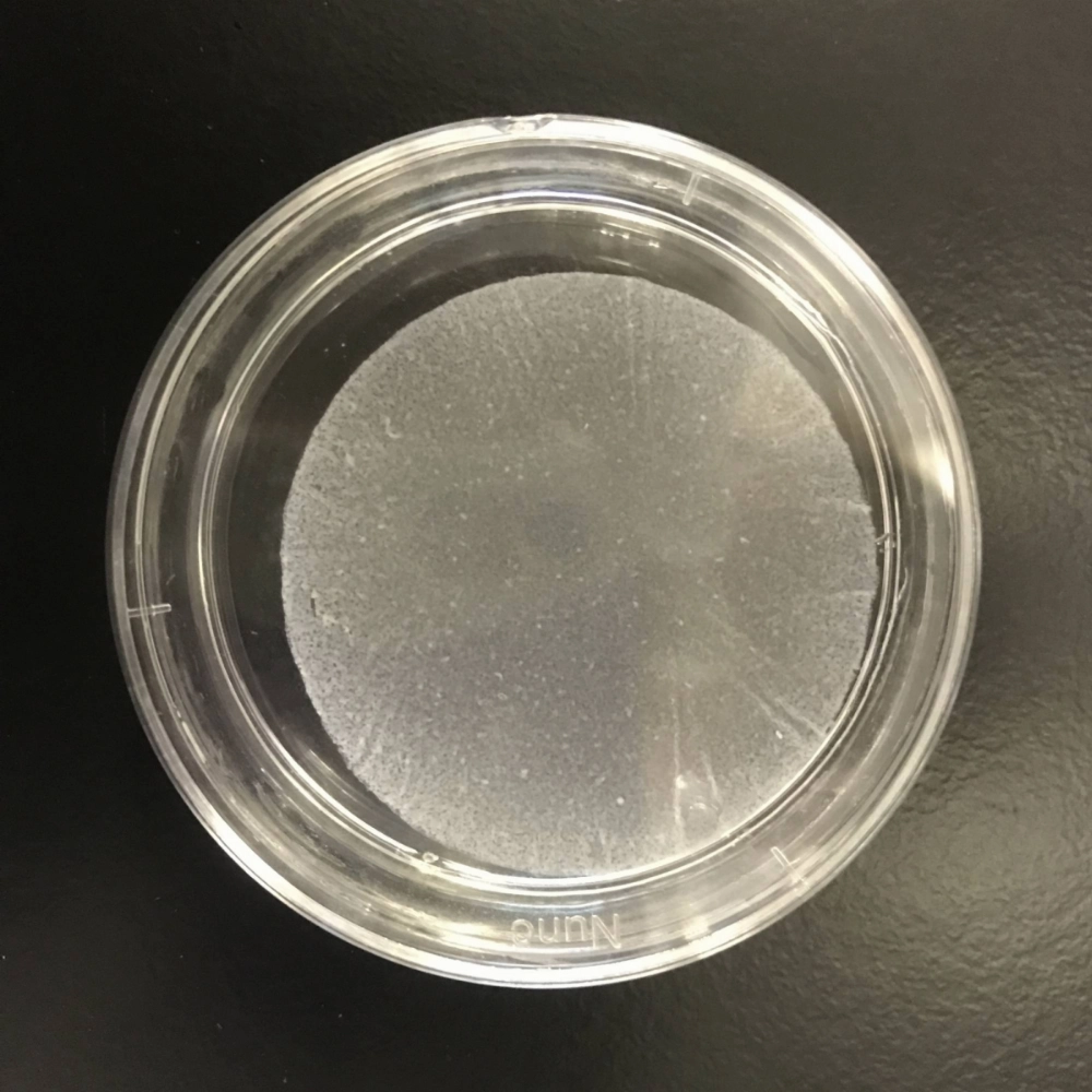 A myocardial cell sheet using induced pluripotent stem (iPS) cells A myocardial cell sheet using induced pluripotent stem (iPS) cells