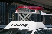 The hermit crabs of Amami island are from a group of species designated as "national natural monuments" because of their cultural and scientific value. | Getty Images