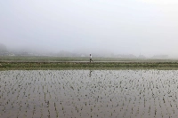 Climate activists argue Japan’s climate goals are too weak, and have criticized the process used to develop targets. | Bloomberg