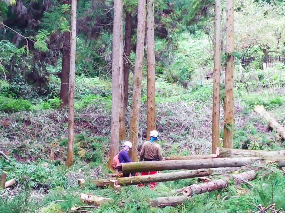Former inmates work as trainees in the forestry industry in Nara Prefecture under the prefecture's fully funded rehabilitation program. Former inmates work as trainees in the forestry industry in Nara Prefecture under the prefecture's fully funded rehabilitation program.