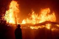 A firefighter works during the Eaton Fire in Pasadena, California, on Jan. 8. | REUTERS