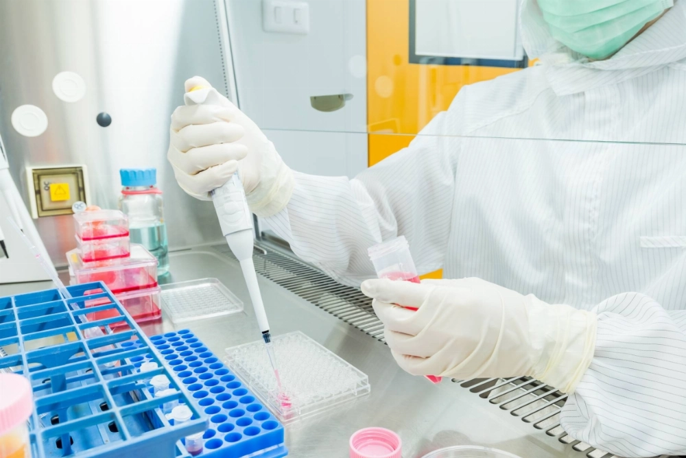By pioneering stem cell therapies, Japan is not only treating disease but also seeking to rejuvenate a nation grappling with aging and decline. By pioneering stem cell therapies, Japan is not only treating disease but also seeking to rejuvenate a nation grappling with aging and decline.