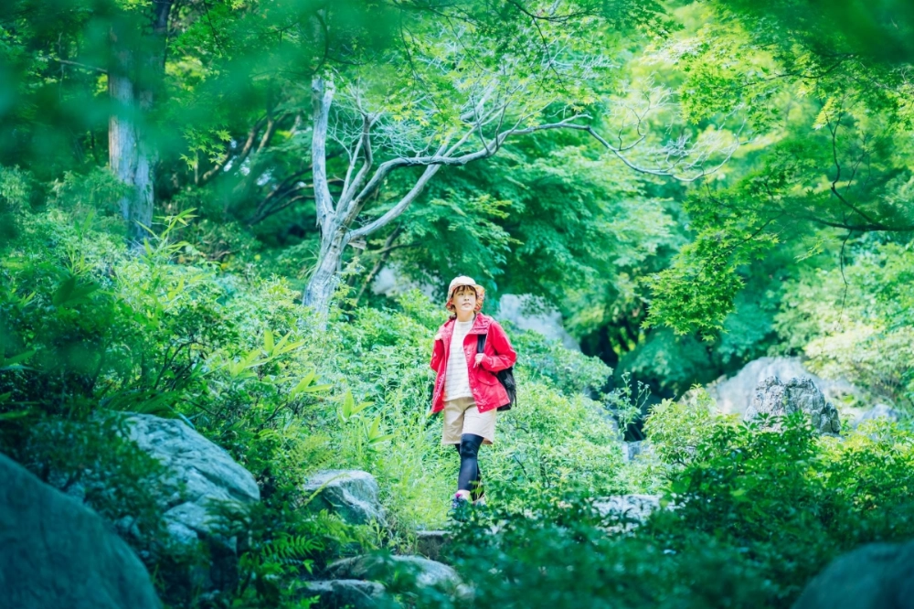 Science suggests that three days of “shinrin-yoku” (forest bathing) is enough to boost immunity for an entire month. Science suggests that three days of “shinrin-yoku” (forest bathing) is enough to boost immunity for an entire month.