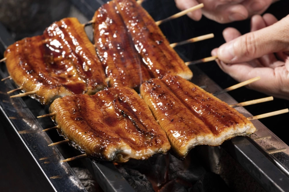 Japan has already told the EU that the Japanese eel is at no risk of extinction due to international trade. Japan has already told the EU that the Japanese eel is at no risk of extinction due to international trade.