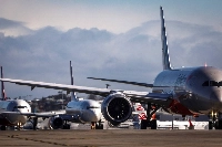 Human encounters with bears have reached record levels in Japan, with 219 people attacked and six deaths in the 12 months to April 2024. | AFP-JIJI