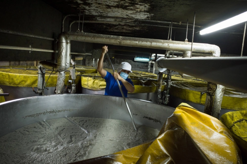 A worker stirs a vat of fermenting Thai rice and kōji mold, used for making awamori, at a distillery in Okinawa Prefecture in April 2021.  A worker stirs a vat of fermenting Thai rice and kōji mold, used for making awamori, at a distillery in Okinawa Prefecture in April 2021.