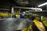 A worker stirs a vat of fermenting Thai rice and kōji mold, used for making awamori, at a distillery in Okinawa Prefecture in April 2021.  | Bloomberg