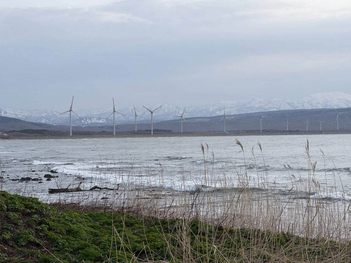 Suttsu's large-scale wind farm was one of the first of its kind in Japan. Suttsu's large-scale wind farm was one of the first of its kind in Japan.