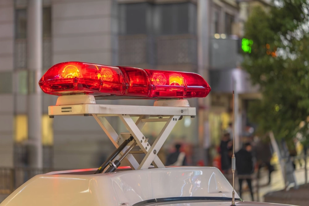 Many stab wounds have been found on the upper bodies, including backs, of two women who were killed at a girls bar in Shizuoka Prefecture on Sunday, investigative sources have said. Many stab wounds have been found on the upper bodies, including backs, of two women who were killed at a girls bar in Shizuoka Prefecture on Sunday, investigative sources have said.