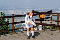 YouTuber Kim Ji-young fans herself as lovebugs crawl over her clothes and fly around her on the peak of Gyeyangsan Mountain in Incheon on July 3. | AFP-JIJI