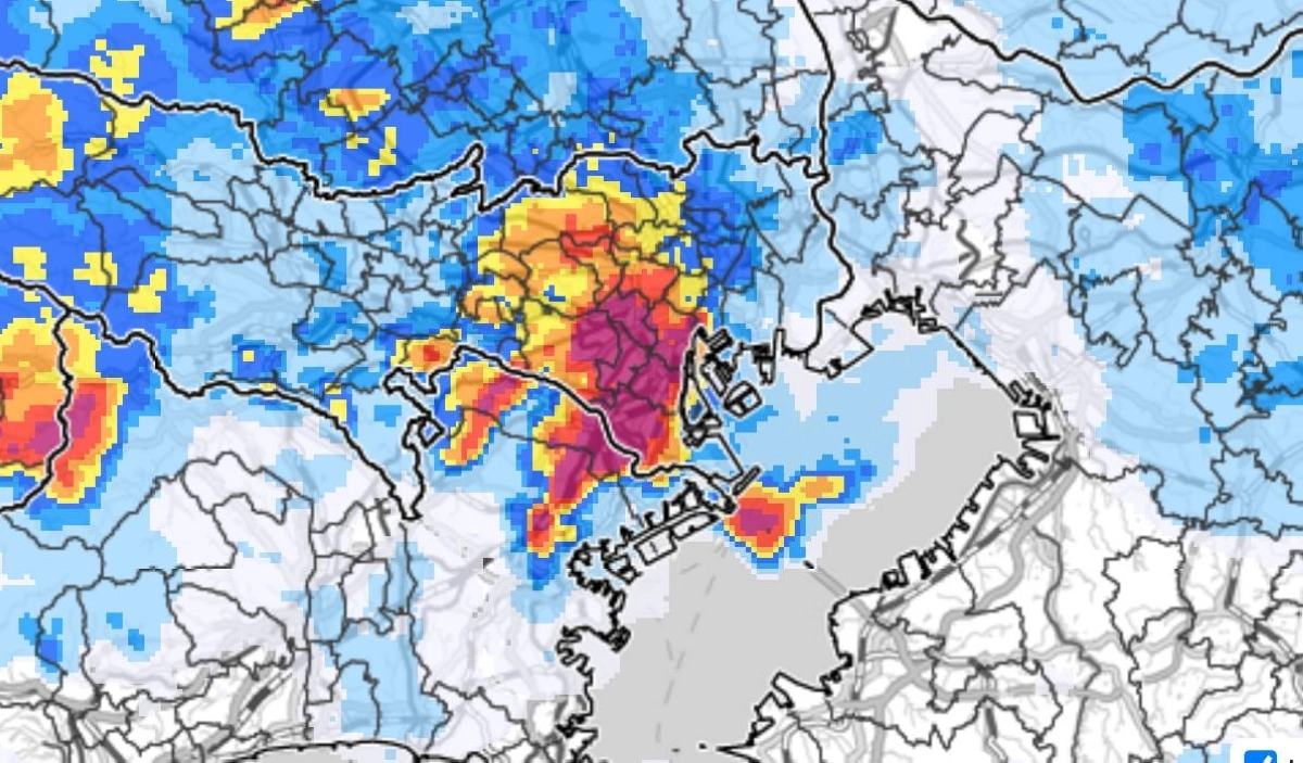 A screenshot of the Meteorological Agency website shows heavy rain in central Tokyo on Thursday evening. A screenshot of the Meteorological Agency website shows heavy rain in central Tokyo on Thursday evening.