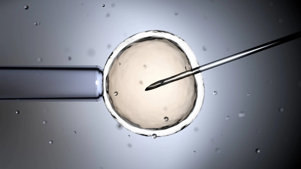 Osaka University researchers say they have developed a method to improve embryo implantation rates. Osaka University researchers say they have developed a method to improve embryo implantation rates.