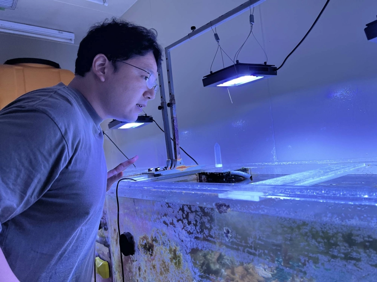 Toshiyuki Takagi, a coral researcher at the University of Tokyo's Atmosphere and Ocean Research Institute, looks over corals cultured at the institute in Kashiwa, Chiba Prefecture, earlier this month.  Toshiyuki Takagi, a coral researcher at the University of Tokyo's Atmosphere and Ocean Research Institute, looks over corals cultured at the institute in Kashiwa, Chiba Prefecture, earlier this month.