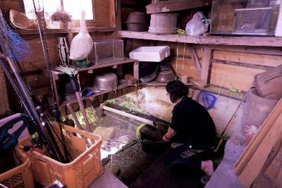 In the village of Harie, private "kabata" springs are fed from natural groundwater for a unique take on sustainable living. In the village of Harie, private "kabata" springs are fed from natural groundwater for a unique take on sustainable living.