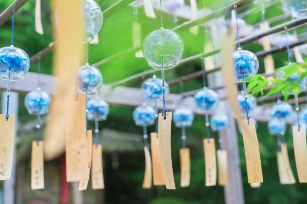 Incredibly popular in summer, Japanese wind chimes are said to cool the mind by giving the wind a voice. Incredibly popular in summer, Japanese wind chimes are said to cool the mind by giving the wind a voice.