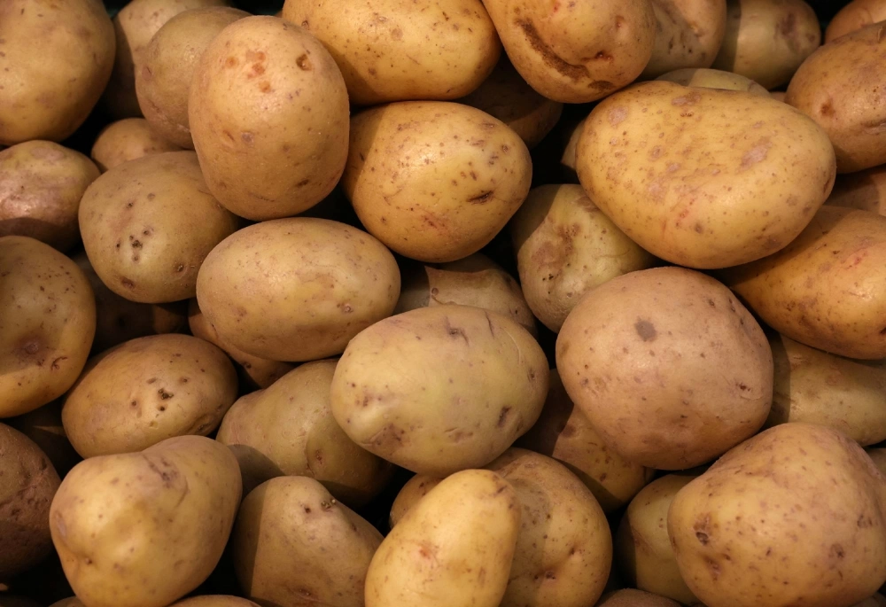 Simple, affordable and versatile, the humble potato is now one of the world's most important crops. But its origins have long puzzled scientists. Simple, affordable and versatile, the humble potato is now one of the world's most important crops. But its origins have long puzzled scientists.