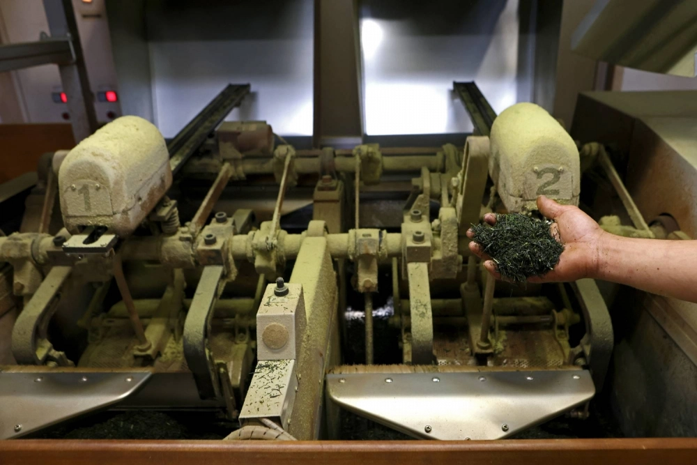 Japan's exports of food and farm produce between January and June were the highest on record for 19 items, including green tea. Japan's exports of food and farm produce between January and June were the highest on record for 19 items, including green tea.