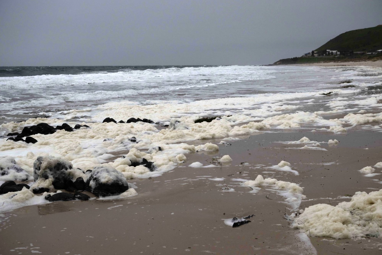 Toxic algal blooms at Carrickalinga Beach South of Adelaide on July 13 Toxic algal blooms at Carrickalinga Beach South of Adelaide on July 13