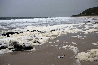 Toxic algal blooms at Carrickalinga Beach South of Adelaide on July 13 | Getty Images / via Bloomberg