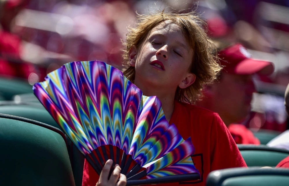 A Cardinals fan fans himself during the seventh inning of a game against the  Pirates in St. Louis, Missouri, in June 2022. A Cardinals fan fans himself during the seventh inning of a game against the  Pirates in St. Louis, Missouri, in June 2022.
