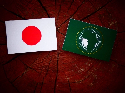 The Japanese flag (left) with the flag of the African Union The Japanese flag (left) with the flag of the African Union