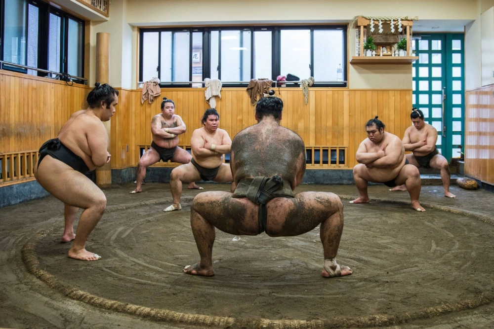A training session at Shikoroyama stable in June 2016. Sumo training sessions are increasingly simulated or the preserve of group tours. A training session at Shikoroyama stable in June 2016. Sumo training sessions are increasingly simulated or the preserve of group tours.