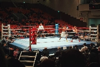 A boxing match at Korakuen Hall in Tokyo on Feb. 29, 2016. Japanese boxing has been rocked by a series of serious injuries and deaths. | SAM BYFORD