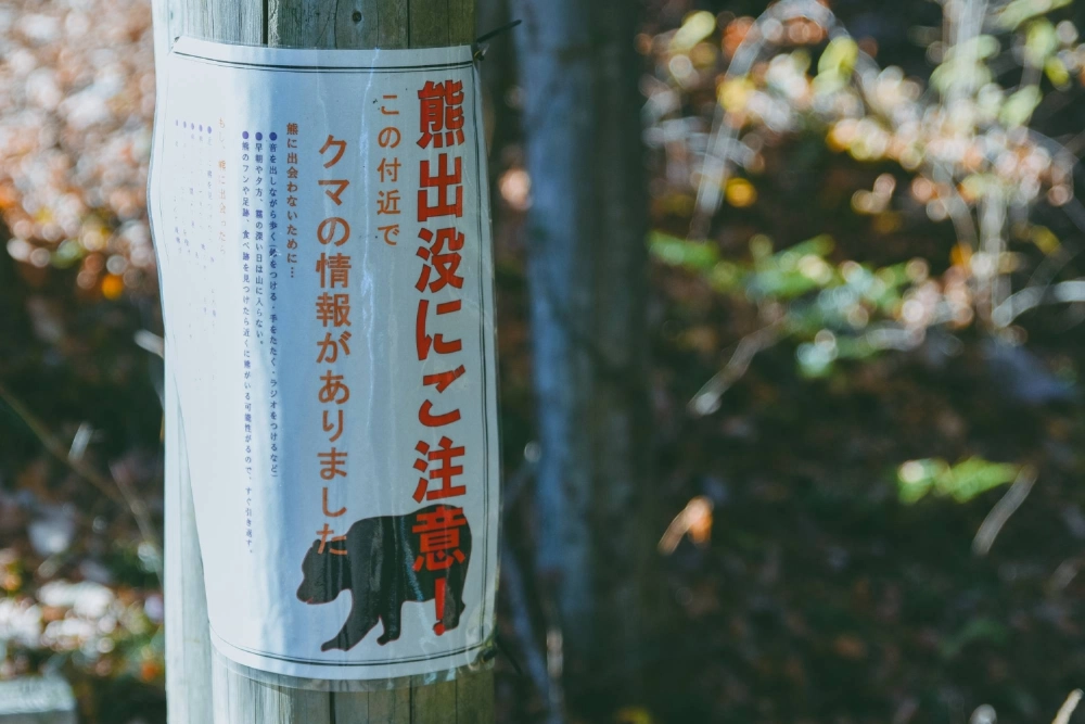 The Environment Ministry plans to increase subsidies to local governments to fund projects such as setting up fences to prevent bears from encroaching into populated areas, as well as training personnel who can react when there are sightings. The Environment Ministry plans to increase subsidies to local governments to fund projects such as setting up fences to prevent bears from encroaching into populated areas, as well as training personnel who can react when there are sightings.