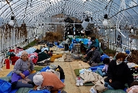 Evacuated people rest at a green house converted into an evacuation center in the aftermath of an earthquake in Wajima, Ishikawa Prefecture, on Jan. 2, 2024. | REUTERS