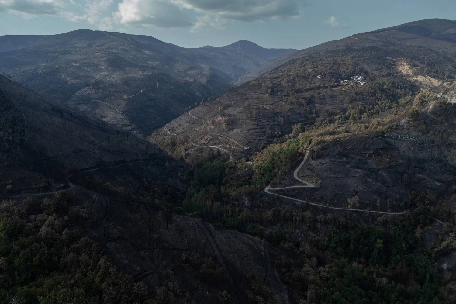 Burnt woodland in the Galician province of Ourense Burnt woodland in the Galician province of Ourense