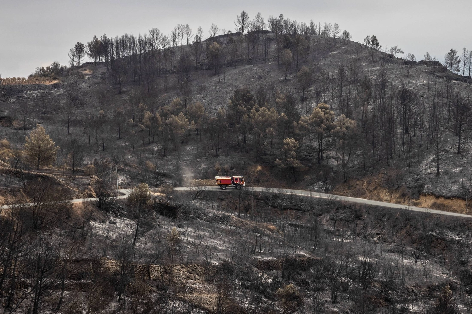 Burnt woodland following a wildfire in Aude, France Burnt woodland following a wildfire in Aude, France