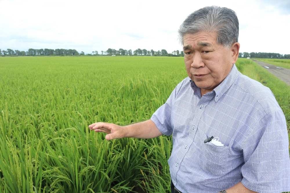 Rice farmer Toru Wakui in his rice paddies in Ogata, Akita Prefecture, in August Rice farmer Toru Wakui in his rice paddies in Ogata, Akita Prefecture, in August