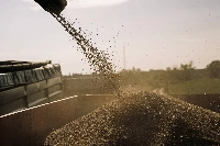 Grain is collected during the summer wheat harvest in Ukraine | BLOOMBERG